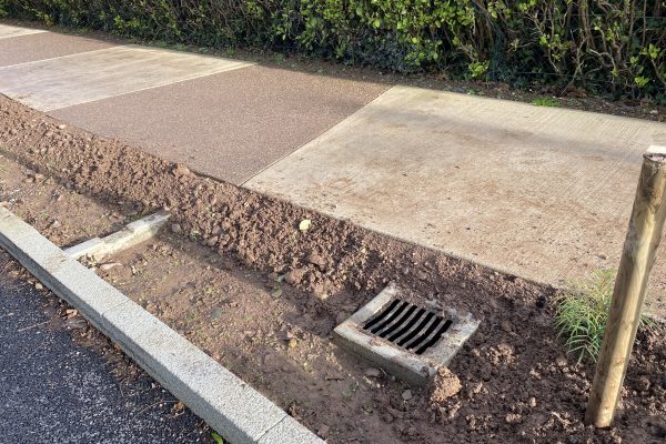 Belgooly Rain Garden 01