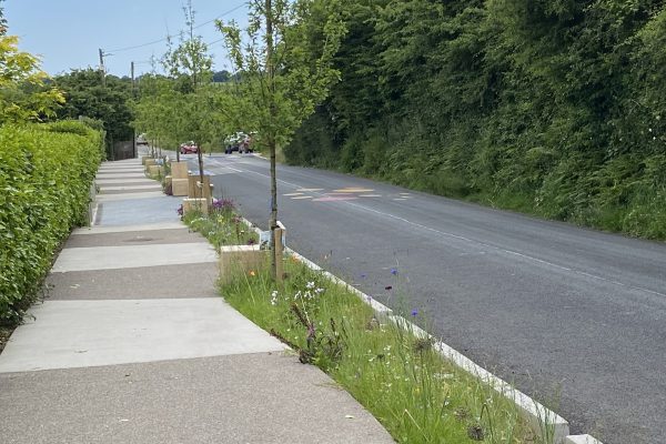 Belgooly Rain Garden 05