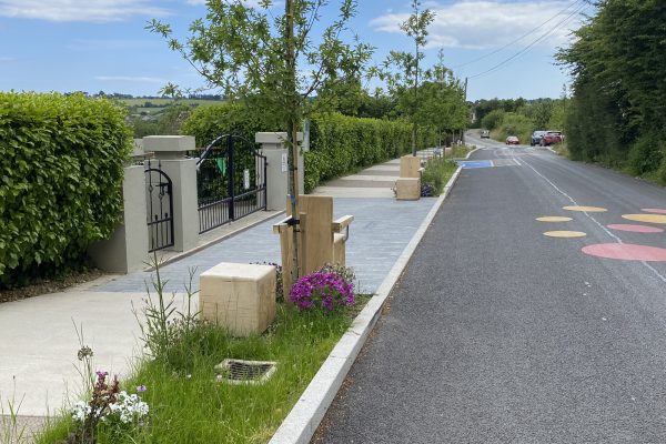 Belgooly Rain Garden 06